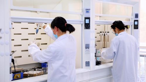 新生 為專業智造而生——比樂品牌煥新升級，攜寵糧新形態續寫科學喂養方程