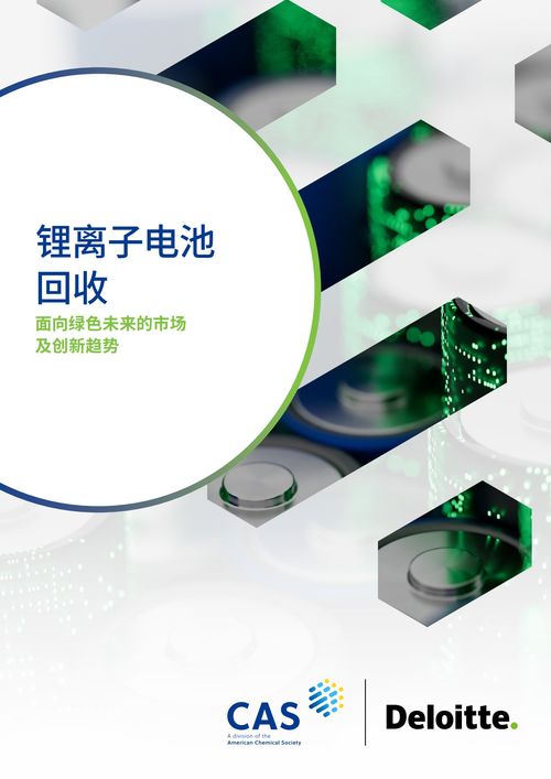 博萃循環完成數千萬元B輪融資，太平科創基金加速數字技術服務布局