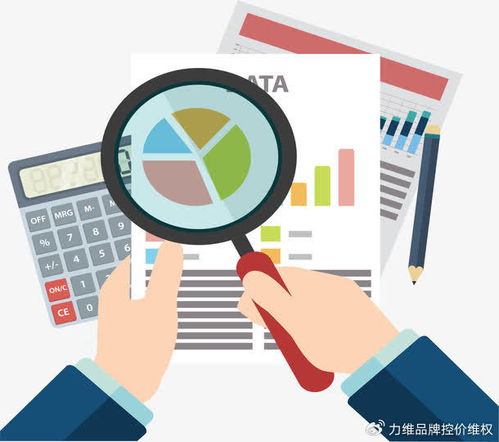 專業(yè)電商數(shù)據(jù)分析服務(wù) 數(shù)據(jù)處理如何賦能品牌破局增長